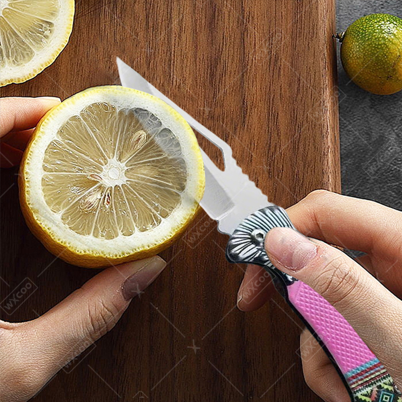 WXCOO Folding Knife Stainless  - Kitchen Handy Gadgets recension och pris